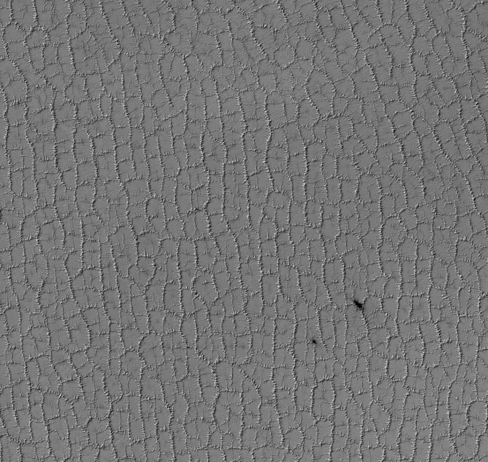 Spider Trough Terrain