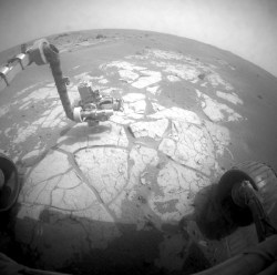 Opportunity's Tools in Action