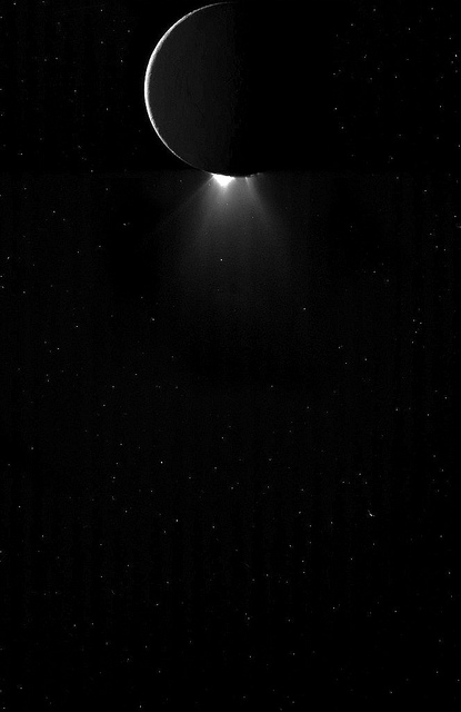 Enceladus and her icy plumes