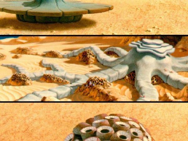 531091main_image_1904_946-710