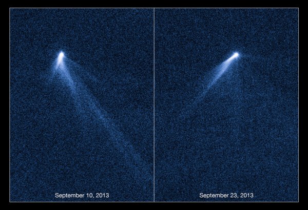 Hubble images of the six-tailed asteroid P/2013 P5 Credit: NASA, ESA, D. Jewitt (University of California, Los Angeles), J. Agarwal (Max Planck Institute for Solar System Research), H. Weaver (Johns Hopkins University Applied Physics Laboratory), M. Mutchler (STScI), and S. Larson (University of Arizona)