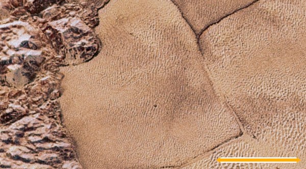 A view of Pluto's surface imaged by NASA's New Horizons in July 2015